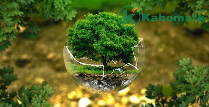 The Earth – Islamic_Poem
