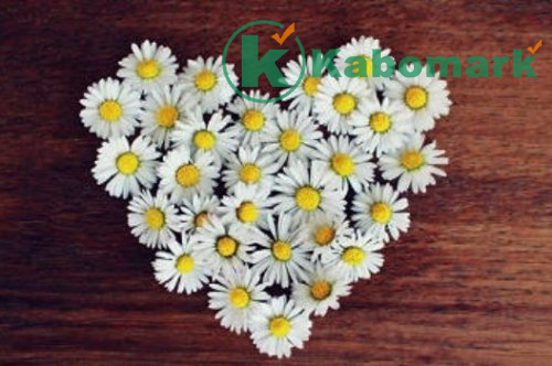 You are the Sign – Inspirational Reminder