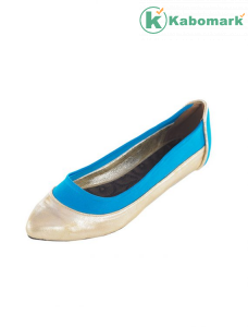 Pointed Toe Ballerina Flat